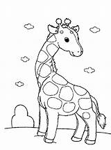 Giraffe Coloring Funny Pages Cute Printable Animals Giraffes Netart Drawings Drawing Popular sketch template