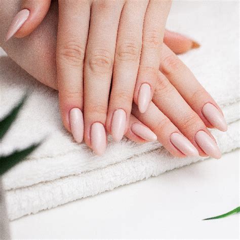 services nail salon   herbal nail spa paradise valley az