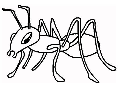 ant coloring page ant cartoon  printable ants coloring pages