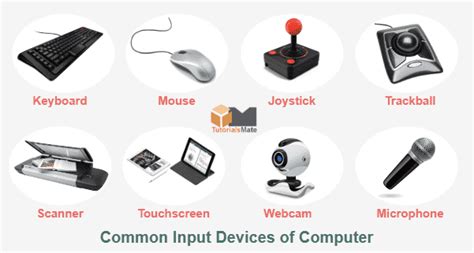 input devices  computer definition examples tutorialsmate