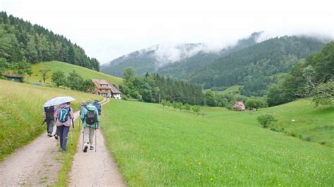 wanderung im prechtal schwarzwaldverein hausachde