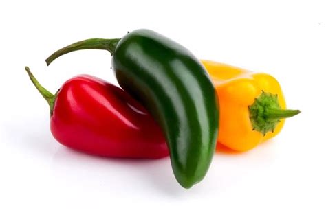 growing jalapenos  pepper basics grow hot peppers