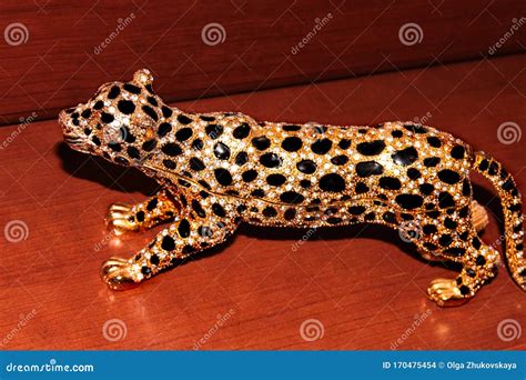 leopard box   brown background stock photo image  funny
