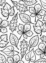 Coloring Pages Folder sketch template
