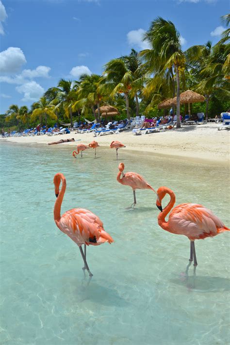 pin    central america caribbean travel