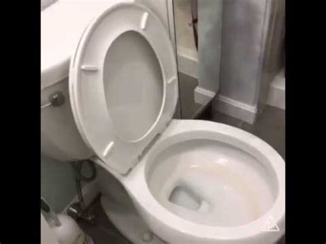 exploding toilets youtube