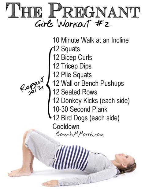 The 30 Minute Pregnancy Workout Book Workoutwalls