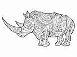 Rhinoceros Vettore Rinoceronte Adulti Neushoorn Kleurplaat Kleurplaten sketch template