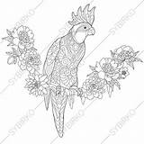Parrot Coloring Animal Cockatoo Book Pages Visiter Coloriage sketch template