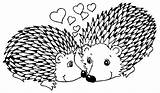 Coloring Porcupine Hedgehog Pages Animals Drawings Printable Designlooter 400px 41kb sketch template