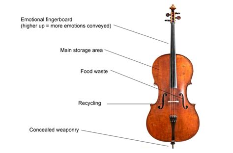 diagram parts   cello diagram mydiagramonline