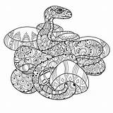 Coiled Snake sketch template