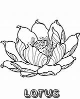 Coloring Lotus Flower Printable Print Quality Flowers Big sketch template