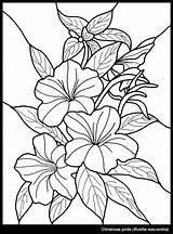Outline Flowers Glass Painting Coloring Scenery Flower Pages Designs Drawing Para Outlines Flores Vitral Colorear Dibujos Printable Colouring Kids Color sketch template