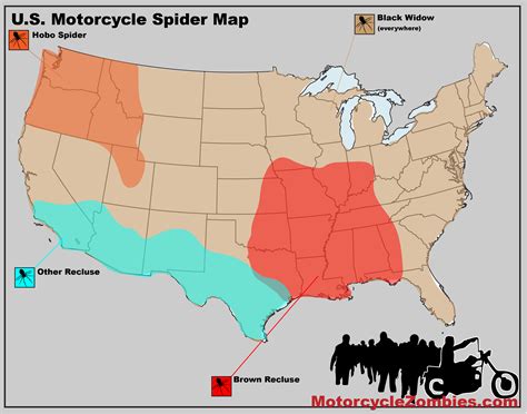 mice rats spiders  snakes   motorcycle motorcyclezombiescom