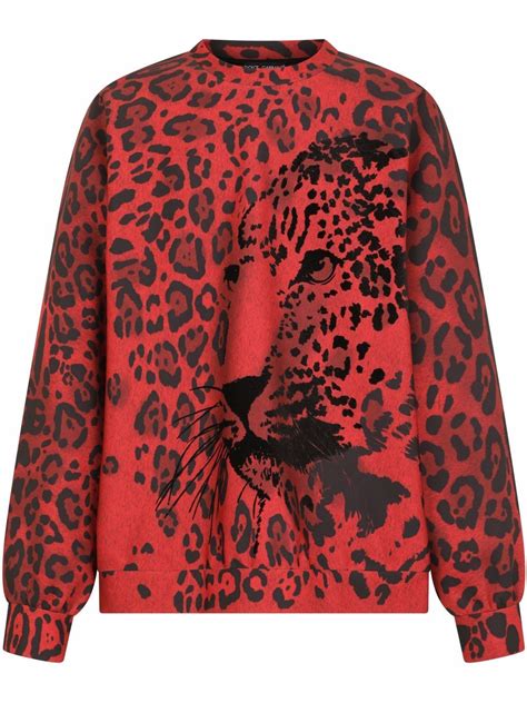 dolce and gabbana leopard print sweatshirt farfetch