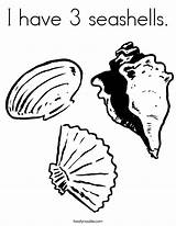 Seashell Colouring sketch template