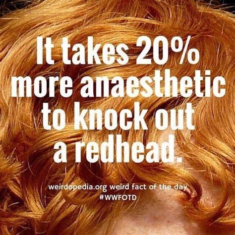Pin By Brandy Broussard On Redhead Life Redhead Facts Redhead Quotes