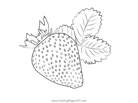 strawberry  coloring page  kids  strawberry printable