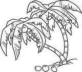 Palmeras Dibujo Coconut Coqueiro Colorir Palmera Pomi Arbustos Desene Cocos Tropicales Palmas Colorat Arboles Colorea Leaves Terrestres Desenhos Vacaciones Illustrative sketch template