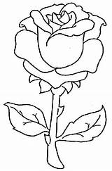 Coloring Pages Roses Girls Rose Kids Para Flores Flower Colorear Dibujos Drawing Flowers Pintar Drawings Printable Simple Glass Painting Rosas sketch template