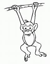 Monyet Gambar Mewarnai Monkey Hewan Coloring Choose Board Pages Untuk sketch template