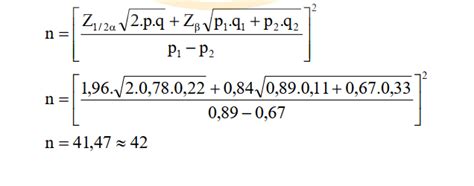 formula  sampling calculation  scientific diagram