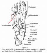 Foot Bones Ankle Anatomy Coloring Pages Types Bone Diagram Leg Fracture Stress Metatarsal Sheets Right Human Book Medical Extra Fractures sketch template