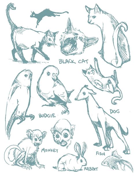 kat mac  portfolio sketches monsters  animals