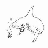 Shark Coloring Scary Pages Little Printable Ones Top Articles Lemon sketch template
