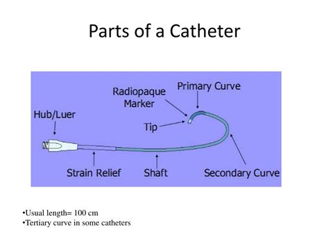 guiding catheters powerpoint    id