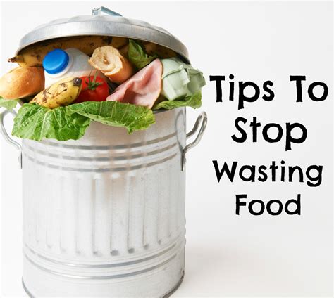 save stop wasting food