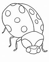 Coloring Pages Ladybug Bug Kids sketch template