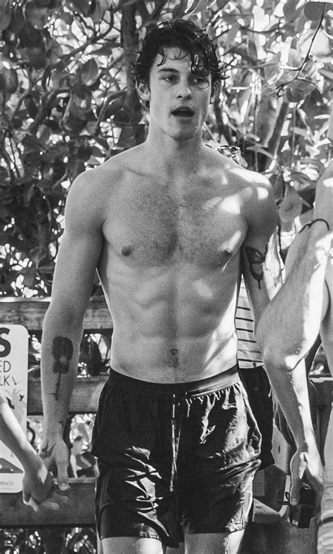 Exquisite Male Celebs Shawn Mendes Tumblr Pics