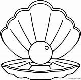 Scallop Coloring Pages Shell Drawing Easy Choose Board Printable Format Vector sketch template
