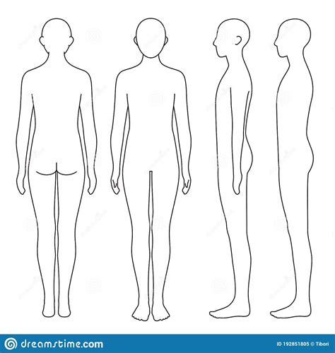 human body outline front   side vector file set stock vector