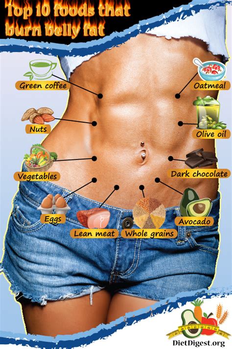 top 10 foods that burn belly fat infographic one regular guy writing about food exercise