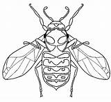 Vespa Avispa Avispas Pintar Abella Dibuix Insectos Dibuixos Acolore sketch template