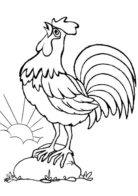 morning bird  rooster coloring pages print color craft