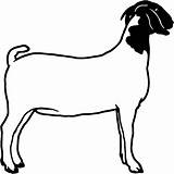Goat Silhouette Clip Clipart Boer Dairy Outline Show Head Cliparts Goats Vector Drawing Line Cut Nubian Window Horse Die Wall sketch template