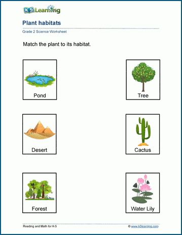 plant habitats worksheets  learning
