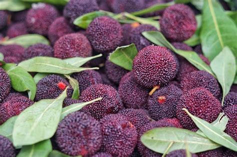25 asian fruits ranked from delicious to disgusting 11 to 25