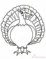 Turkeys Feather Indyk Kolorowanki Indyki Bestcoloringpagesforkids Druku Thankful Clipartmag Tactile Coloring Drukuj Pobierz sketch template
