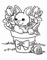 Coloring Rabbit Pages Bunnies Kids Colorir Para Desenho Vaso Cute Baby Printable Rabbits Coelho Template Funny Páscoa Animals Spring Babies sketch template