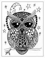 Owl Doodle Night Coloring sketch template
