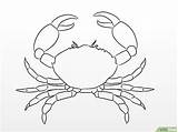 Crab Drawing Draw Crabs Sea Wikihow Krill Drawings Step Fish Claw Geometric Simple Symmetrical Easy Line Painting Pencil Creatures Fan sketch template