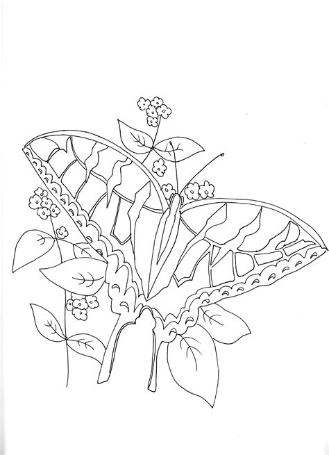 camouflage coloring pages   gmbarco