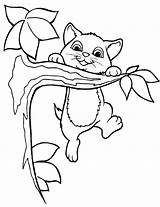 Coloring Kitten Pages Kids Printable Tree Kittens Color Print Cat Kitty Cute Baby sketch template