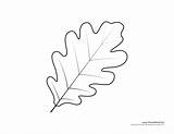 Leaf Oak Template Tree Drawing Coloring Templates Pages Leaves Pattern Kids Printables Printable Cut Maple Fall Print 2998 Color Paintingvalley sketch template