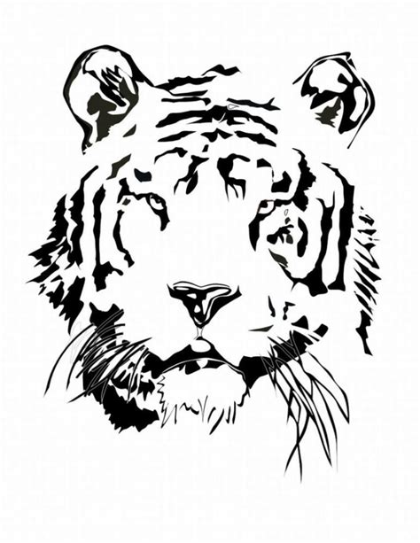 cute tiger coloring pages   cute tiger coloring pages